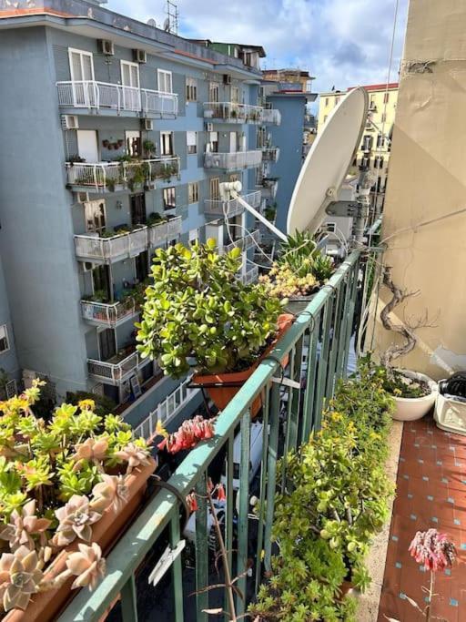 Apartment Milla's House Naples